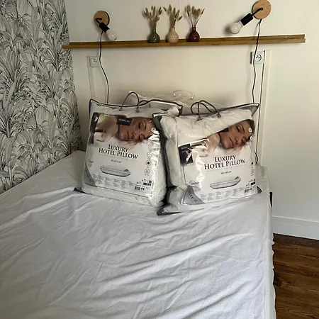 Διαμέρισμα Cocon Paisible En Centre